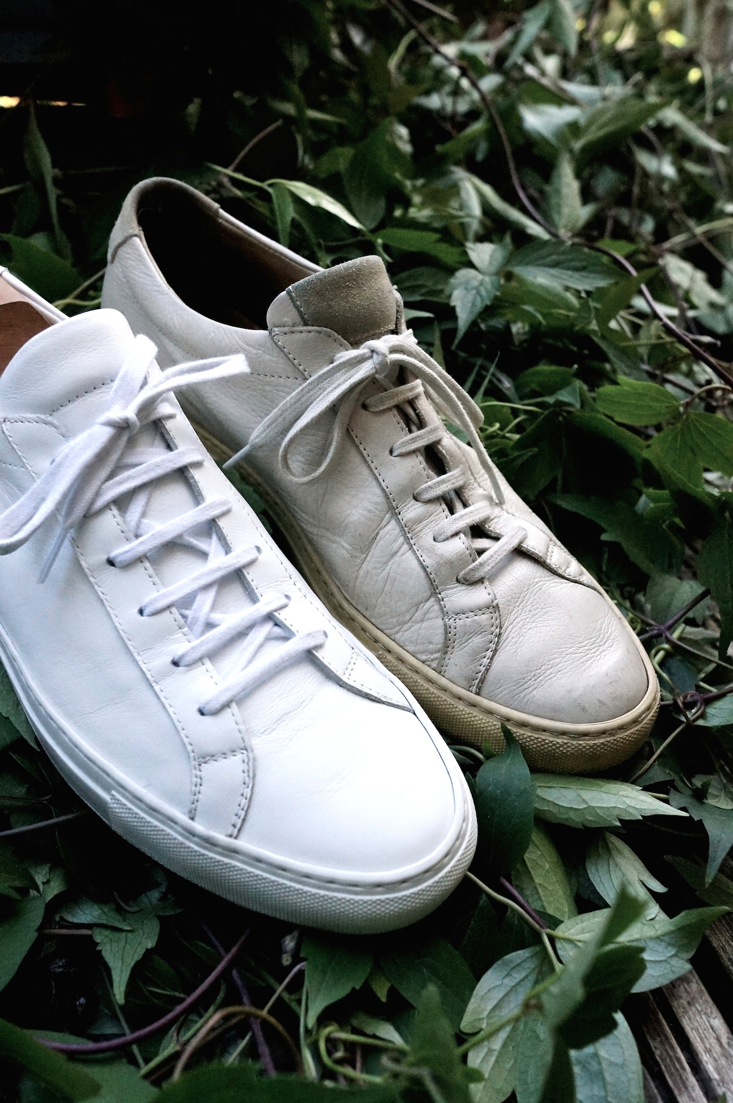 best way to lace common projects