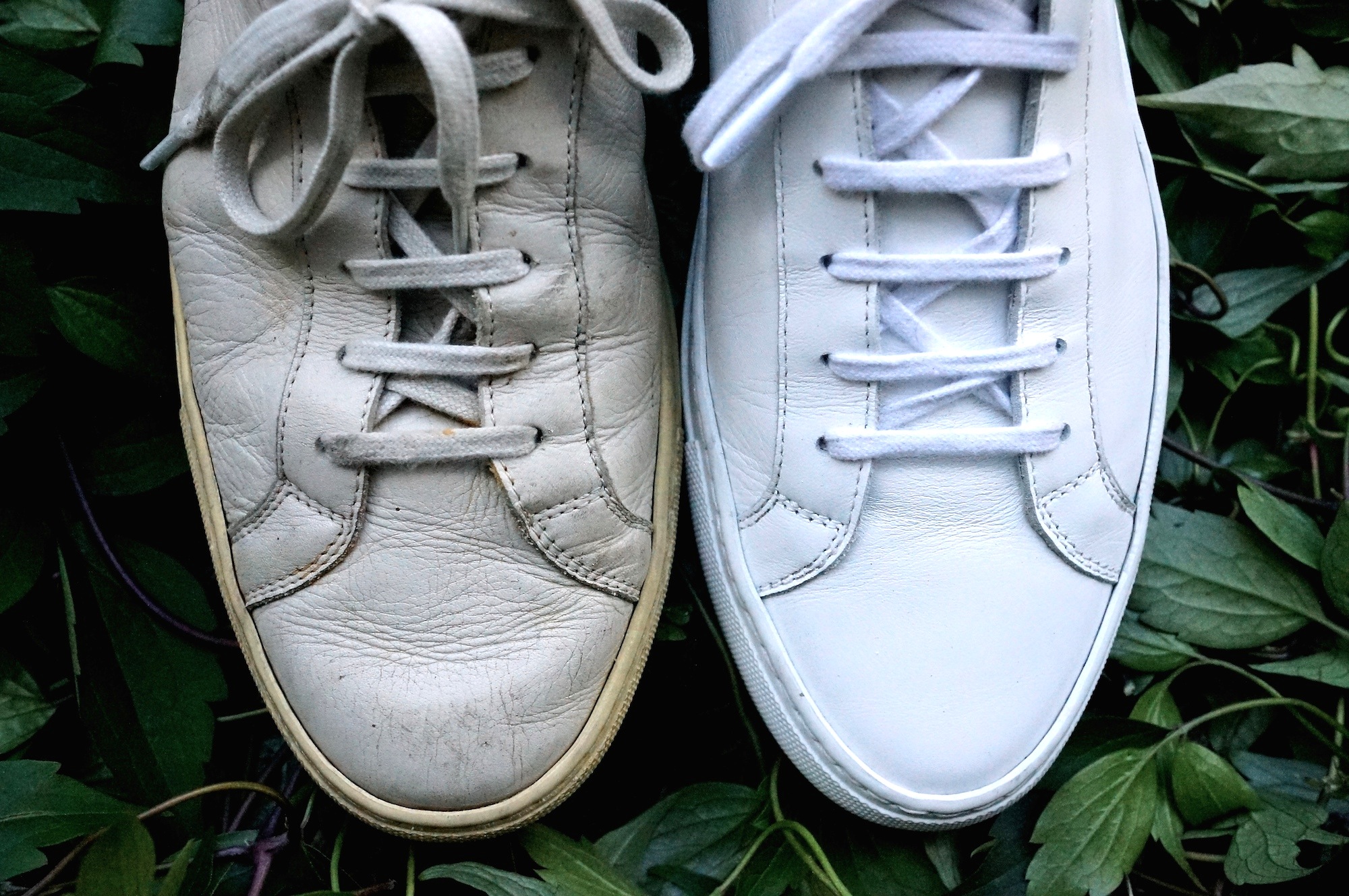My trainers: Common Projects 